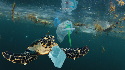 7 consigli per ridurre l'uso della plastica nella vita di tutti i giorni
