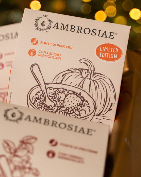 COFFRE DE NOËL JUST XMAS