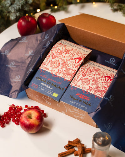 COFFRE DE NOËL JUST XMAS