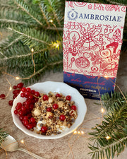 COFFRE DE NOËL JUST XMAS